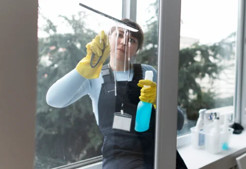 Nettoyage de vitres intérieures et extérieures à Poliénas